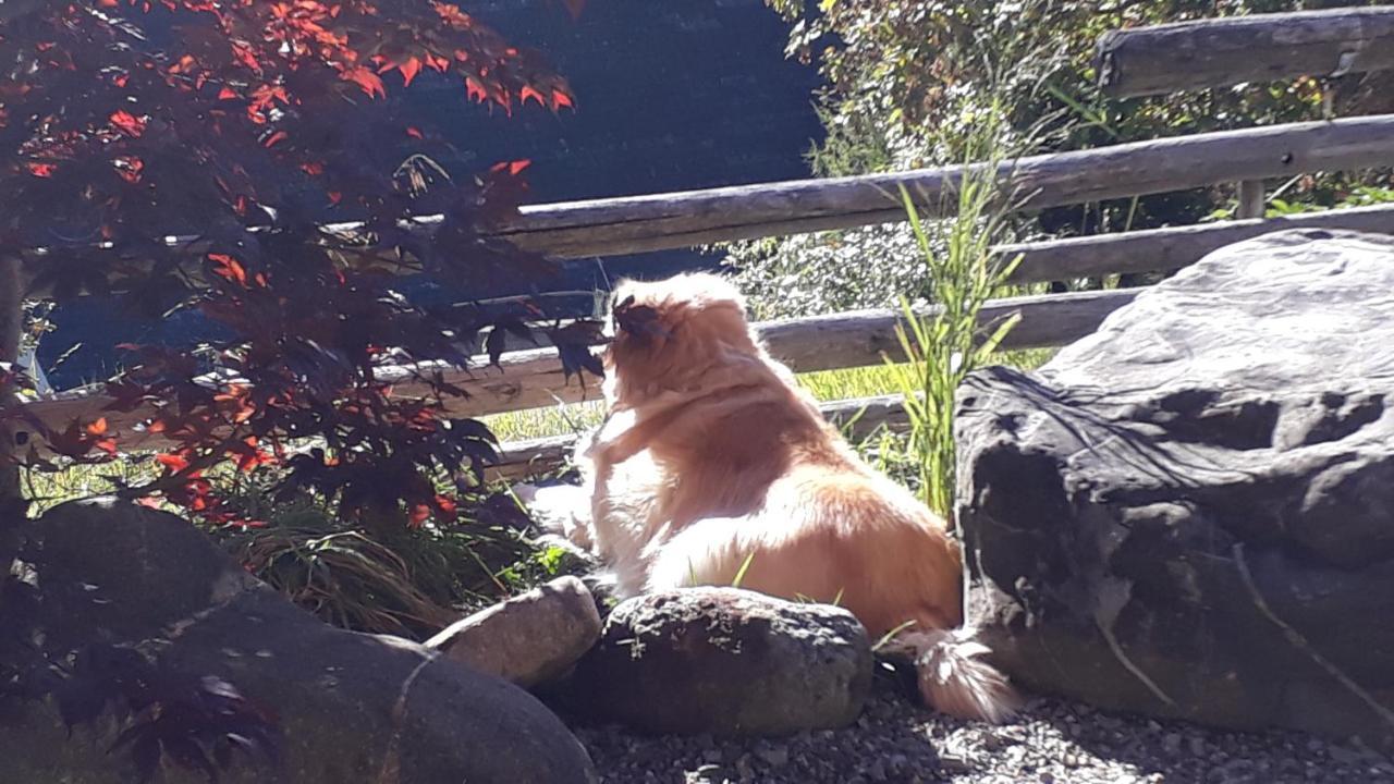 Chalet Gotthelf Gartenstudio, Ferien Mit Hund Adelboden Bagian luar foto