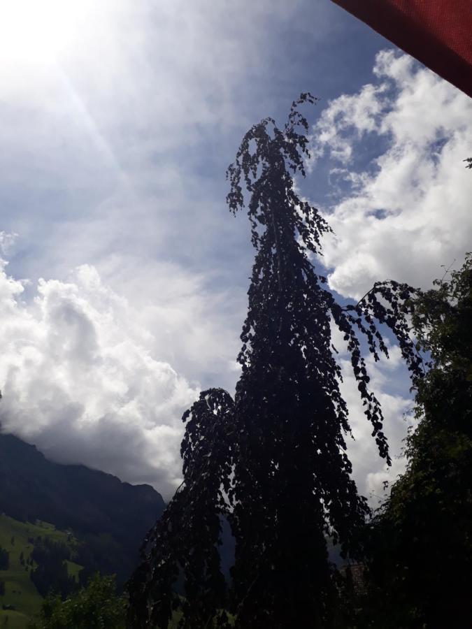 Chalet Gotthelf Gartenstudio, Ferien Mit Hund Adelboden Bagian luar foto