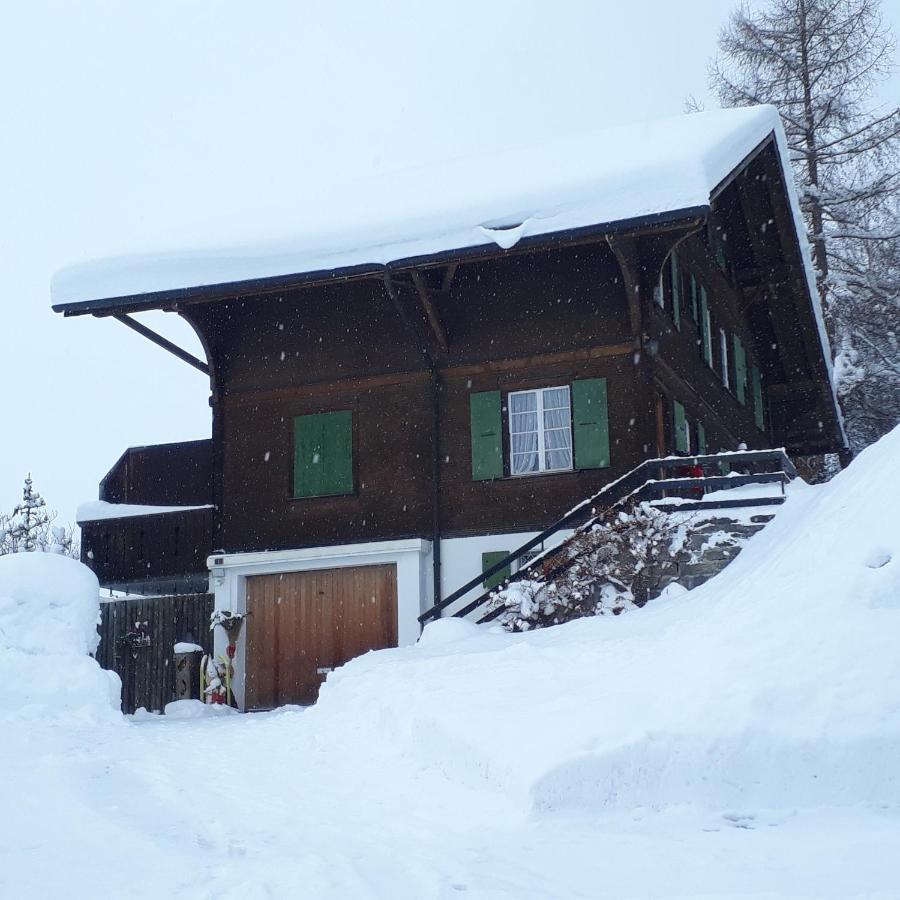 Chalet Gotthelf Gartenstudio, Ferien Mit Hund Adelboden Bagian luar foto