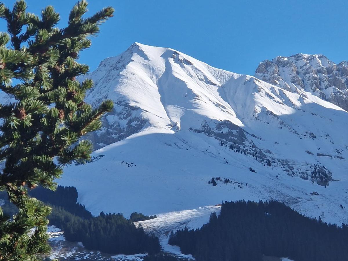 Chalet Gotthelf Gartenstudio, Ferien Mit Hund Adelboden Bagian luar foto