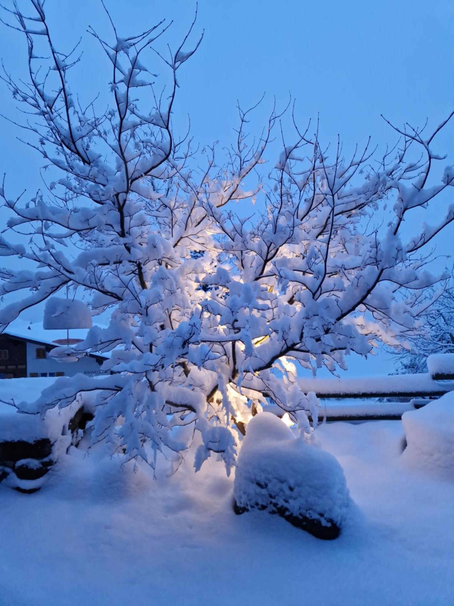 Chalet Gotthelf Gartenstudio, Ferien Mit Hund Adelboden Bagian luar foto