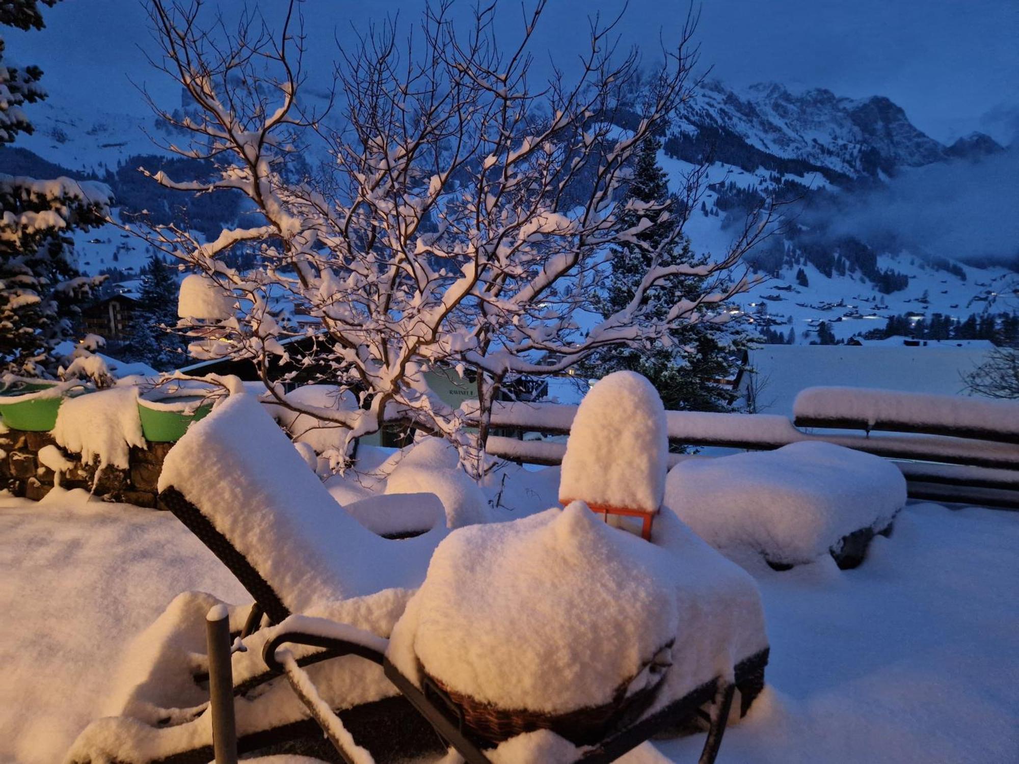 Chalet Gotthelf Gartenstudio, Ferien Mit Hund Adelboden Bagian luar foto