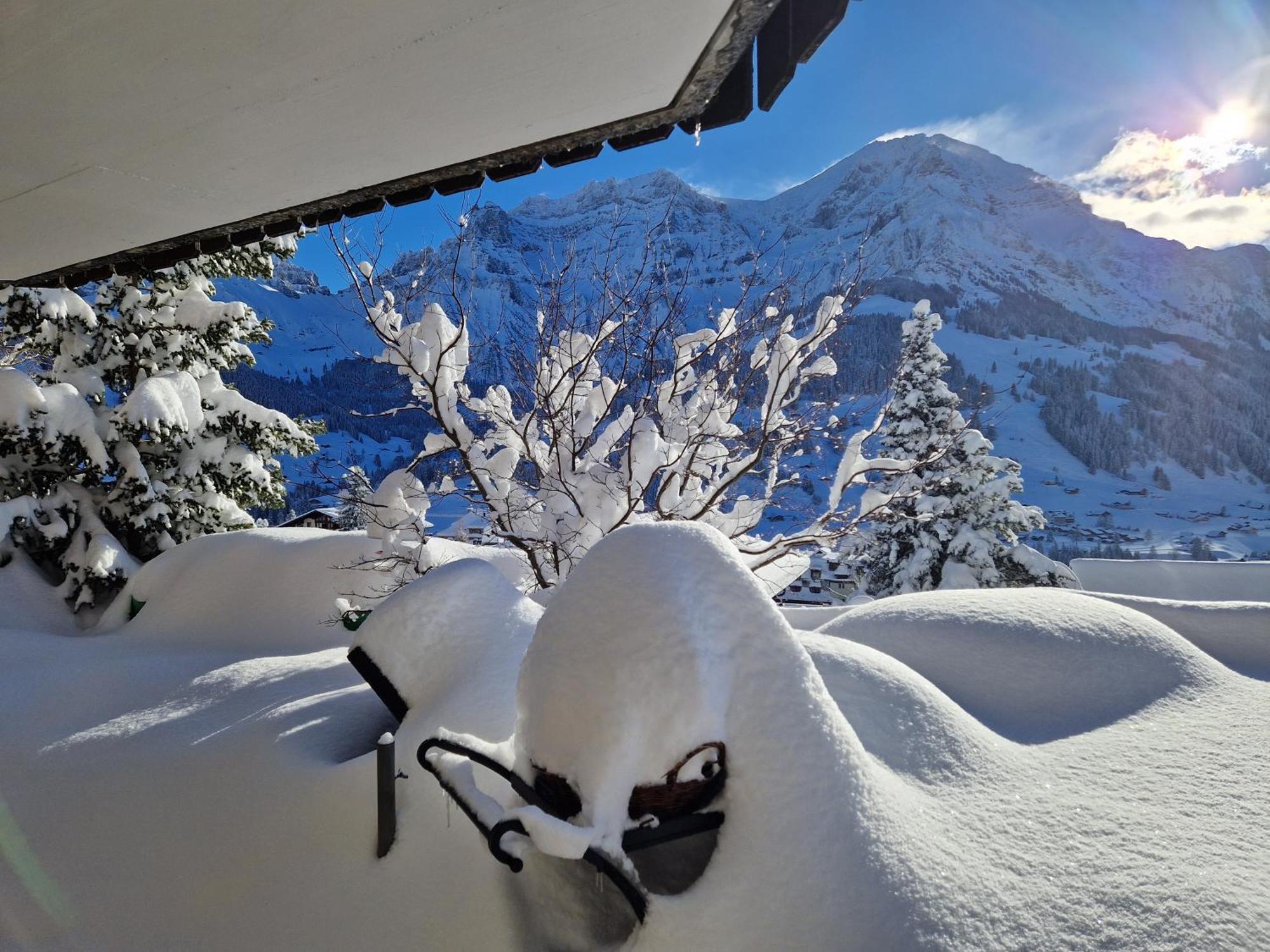 Chalet Gotthelf Gartenstudio, Ferien Mit Hund Adelboden Bagian luar foto