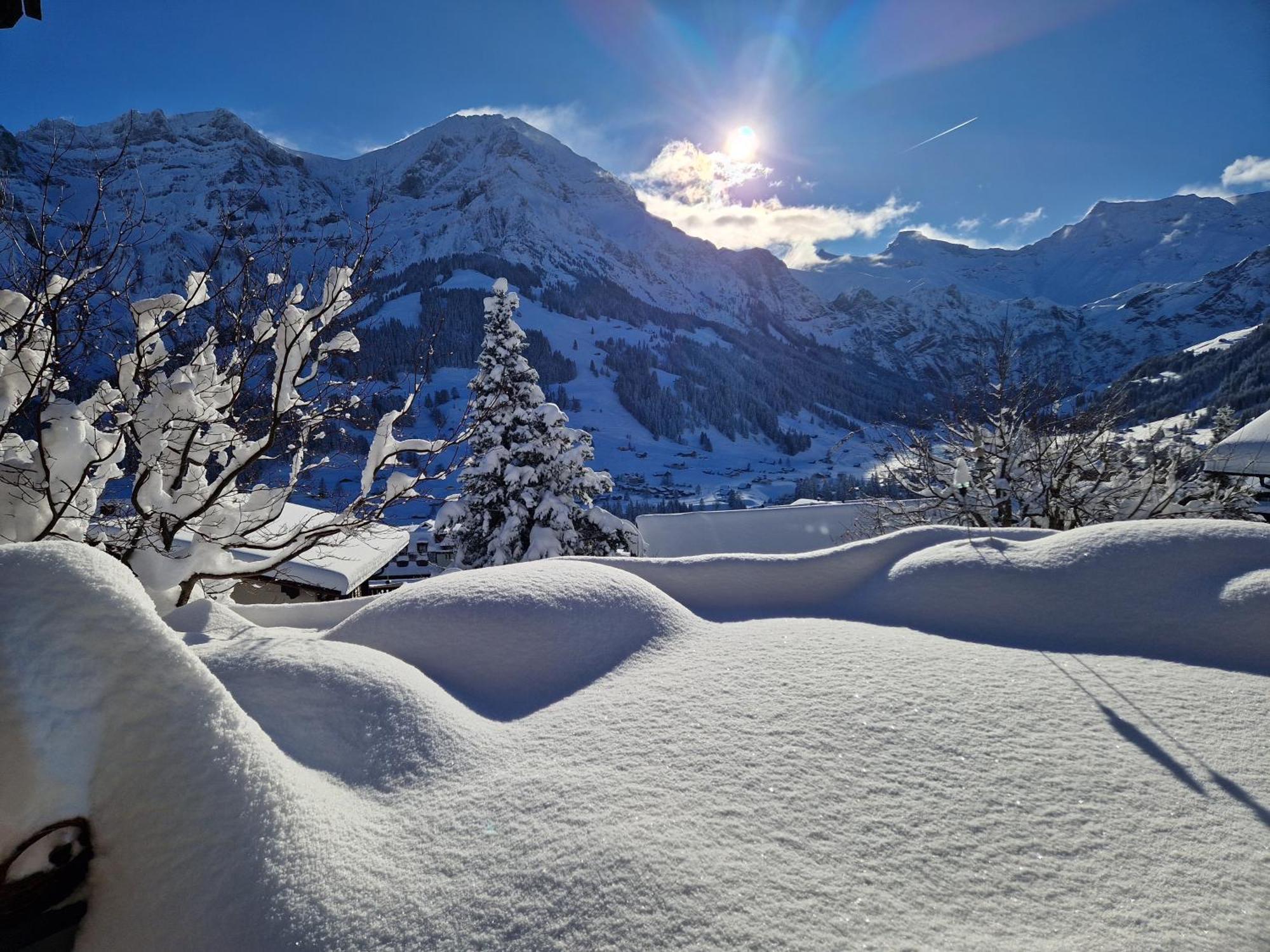 Chalet Gotthelf Gartenstudio, Ferien Mit Hund Adelboden Bagian luar foto